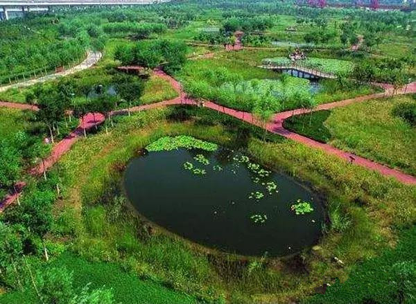 打造"海綿城市" --雨水收集利用系統(tǒng)
