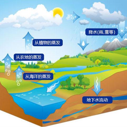 雨水收集系統(tǒng)實現(xiàn)雨水資源的使用-海綿雨水收集