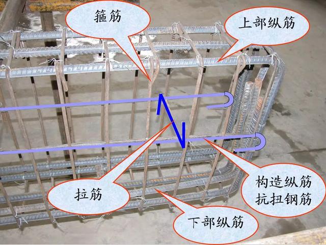 根據(jù)在結(jié)構(gòu)中的作用，鋼筋有哪些分類？