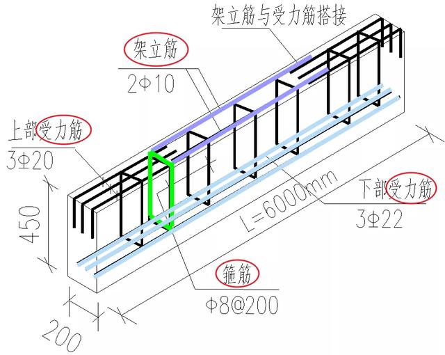 根據(jù)在結(jié)構(gòu)中的作用，鋼筋有哪些分類？