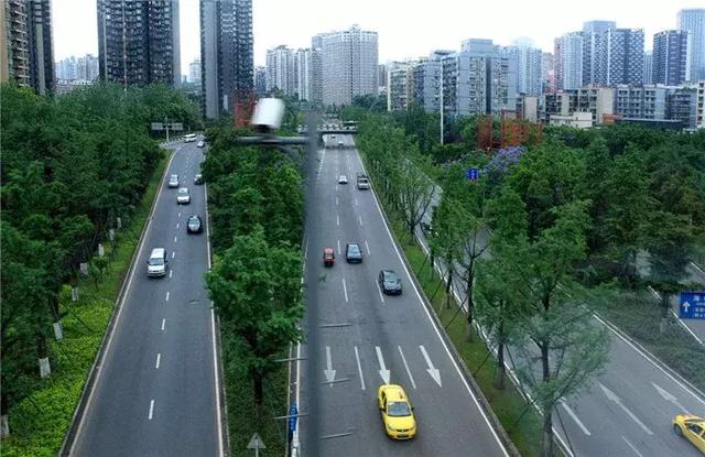 【道路建?！康缆肪G化帶設(shè)計(jì)