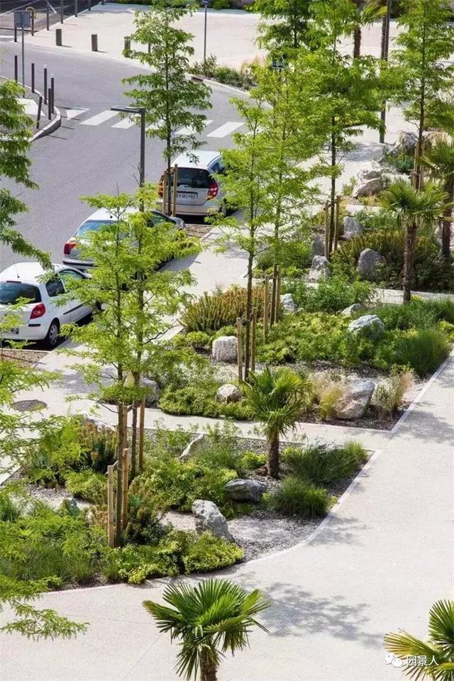 【道路建?！康缆肪G化帶設(shè)計(jì)