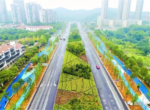 【道路建?！康缆肪G化帶設(shè)計(jì)