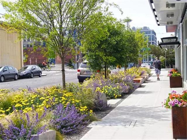 【道路建?！康缆肪G化帶設(shè)計(jì)